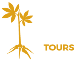 Kasabe Tours